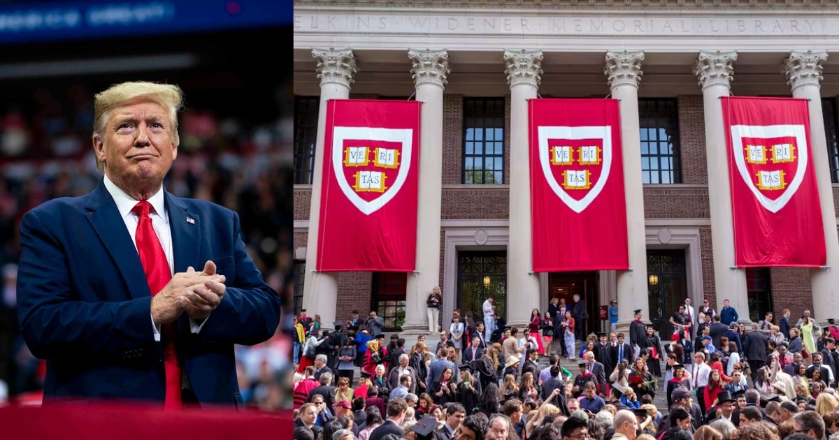 harvard trump