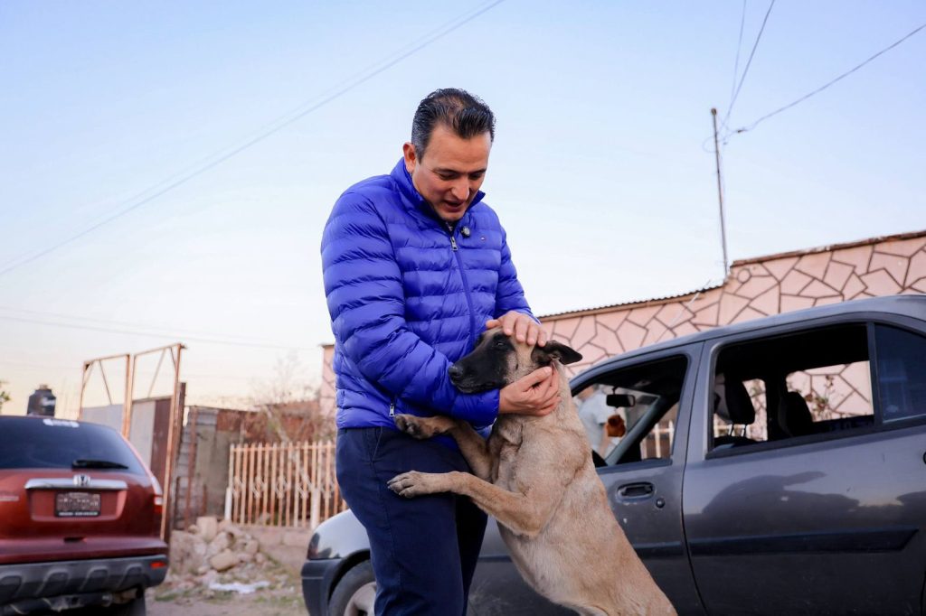 Gallos a la gubernatura.