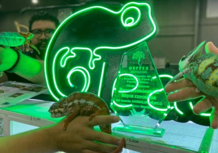 Animalia 2026 el evento que todo amante animal debe vivir
