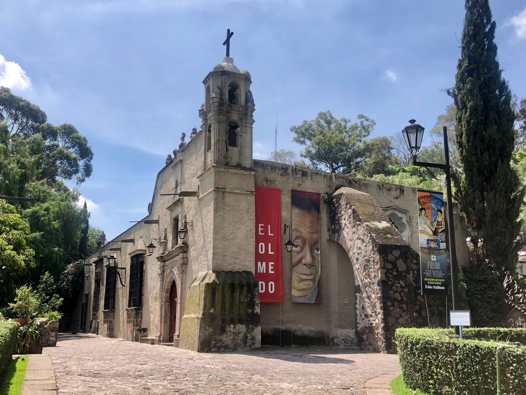 Después de 6 años, vuelve el Museo Dolores Olmedo