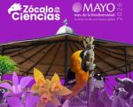 Vive una jornada de ciencia y naturaleza en el Zócalo de las Ciencias en la Alameda Central