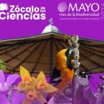 Zócalo de las Ciencias el plan familiar gratuito de mayo