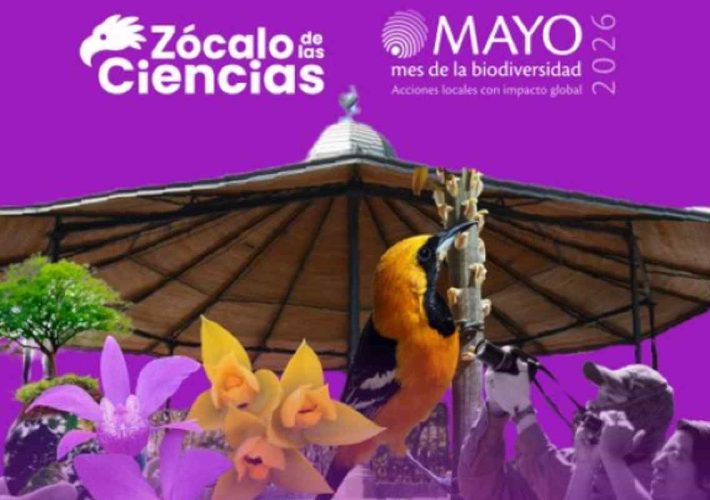 Zócalo de las Ciencias el plan familiar gratuito de mayo