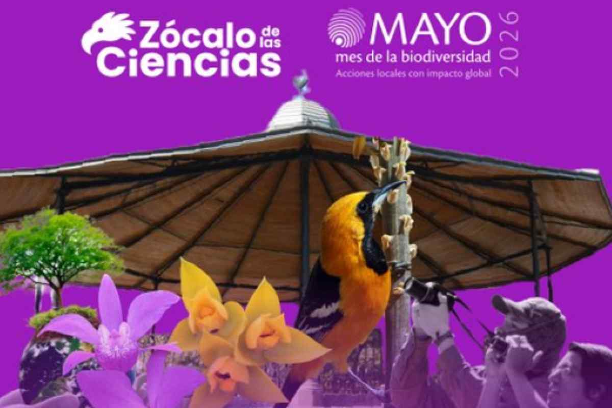 Vive una jornada de ciencia y naturaleza en el Zócalo de las Ciencias en la Alameda Central