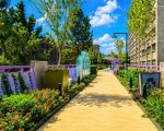 Jardín Flotante Tlallipan cambia la experiencia de caminar por Calzada de Tlalpan