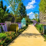 Jardín Flotante convierte Tlalpan en corredor cultural