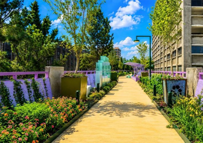 Jardín Flotante convierte Tlalpan en corredor cultural