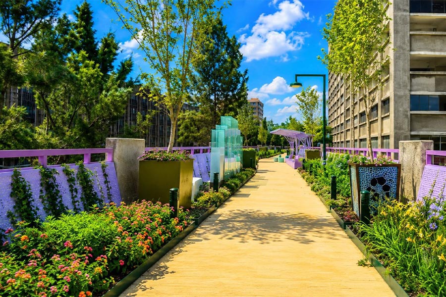 Jardín Flotante convierte Tlalpan en corredor cultural