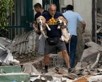 Perros y gatos rescatados tras los terremotos en Venezuela