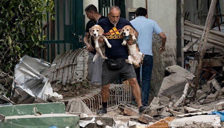 Rescatistas salvan mascotas bajo escombros en Venezuela