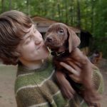 Netflix convierte Scooby-Doo en una serie live action