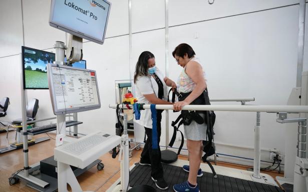 IMSS reconoce a fonoaudiólogos y terapistas del país