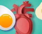La ciencia cambia la percepción sobre el colesterol y el consumo de huevos