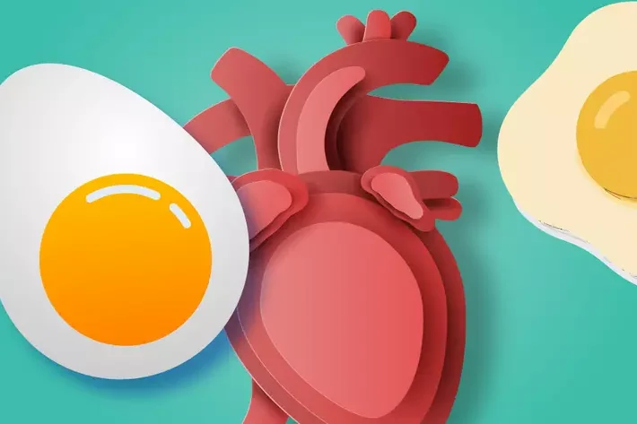 La ciencia cambia la percepción sobre el colesterol y el consumo de huevos