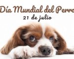 Día mundial del perro
