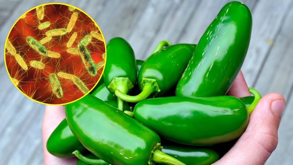 Jalapeño enciende alerta sanitaria entre México y EU
