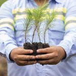 Sheinbaum lanza una reforestación de alcance nacional
